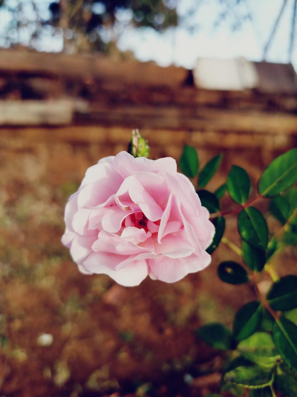 דירות Āmbavna The Heart Of Heaven מראה חיצוני תמונה